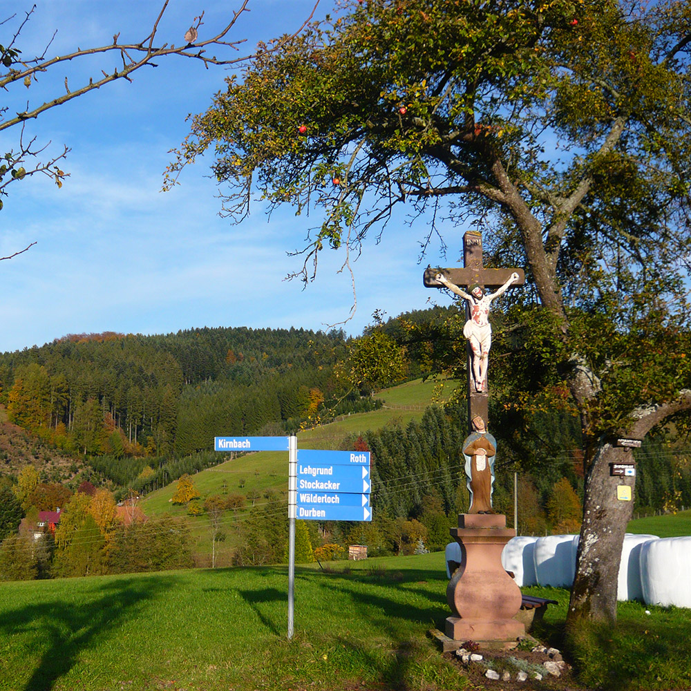Schwarzwald Fotos